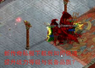 ´˽غοսȼװƷʣ