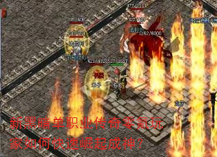ºڰְҵο
