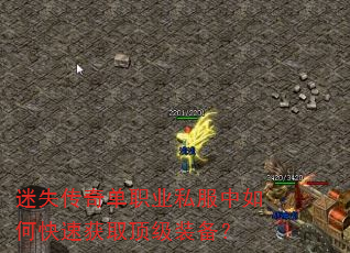ʧ浥ְҵ˽οٻȡװ