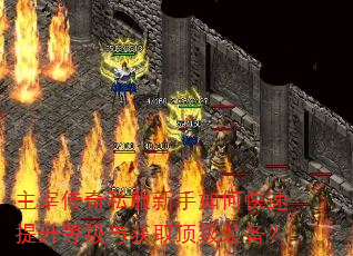 ״˽οȼȡװ