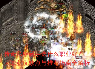 ˽ѡʲôְҵãְҵȱƼָȫ