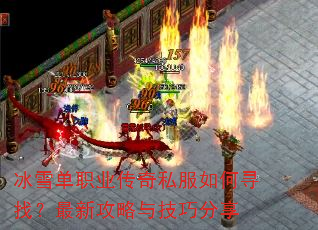 ѩְҵ˽Ѱң¹뼼ɷ