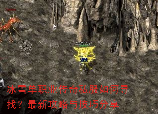 ѩְҵ˽Ѱң¹뼼ɷ