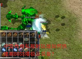 б䴫˽οˢBOSSƷװ