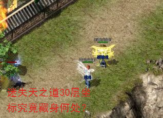 ʧ֮30꾿δ