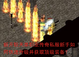 ¿ն쵥ְҵ˽οȡװ