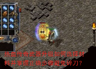 Ѫѡϲȷ鵶