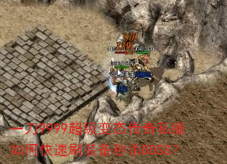 һ9999̬˽οˢװɱBOSS