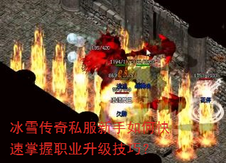 ѩ˽οְҵɣ