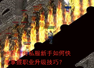 ѩ˽οְҵɣ