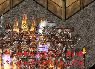 ʮ˽ǰǿЩֿٳ弶Դ