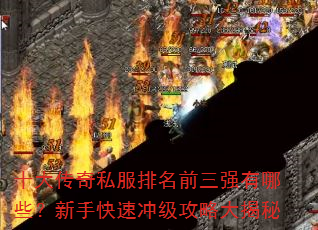 ʮ˽ǰǿЩֿٳ弶Դ