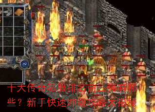 ʮ˽ǰǿЩֿٳ弶Դ