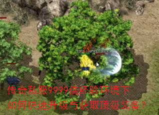 ˽9999黷οȡװ