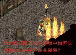 ˽ɷֻͨοˢBOSSװʣ