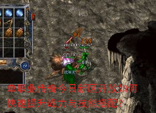 ְҵοս뼼ܴ䣿