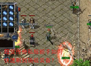 䴫˽οˢװ