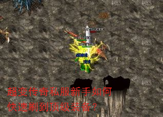 䴫˽οˢװ