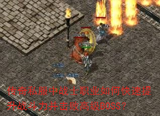 ˽սʿְҵοսܸ߼BOSS