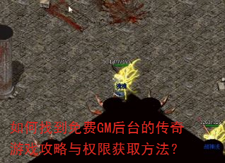 ҵGM̨ĴϷȨ޻ȡ