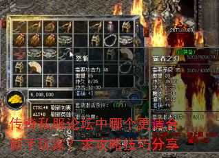 传奇私服论坛中哪个更适合新手玩家?求攻略技巧分享 传奇私服论坛中哪个更适合新手玩家?求攻略技巧分享