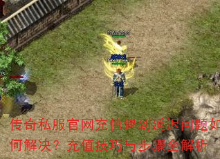 传奇私服官网充值遇到延迟问题如何解决?充值技巧与步骤全解析 传奇私服官网充值遇到延迟问题如何解决?充值技巧与步骤全解析