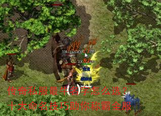 传奇私服最牛名字怎么选?十大命名技巧助你称霸全服 传奇私服最牛名字怎么选?十大命名技巧助你称霸全服