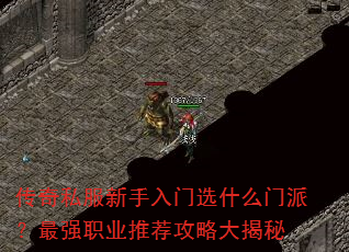 ˽ѡʲôɣǿְҵƼԴ