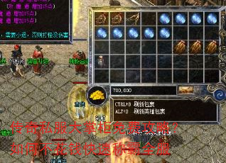 传奇私服大掌柜免费攻略?如何不花钱快速称霸全服 传奇私服大掌柜免费攻略?如何不花钱快速称霸全服