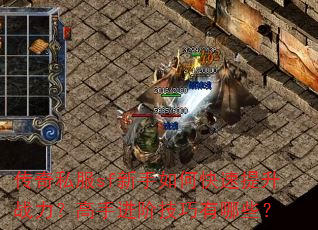 传奇私服sf新手如何快速提升战力?高手进阶技巧有哪些? 传奇私服sf新手如何快速提升战力?高手进阶技巧有哪些?