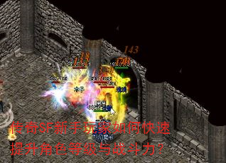 传奇SF新手玩家如何快速提升角色等级与战斗力? 传奇SF新手玩家如何快速提升角色等级与战斗力?