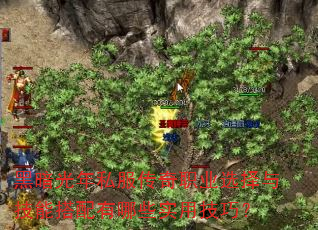 黑暗光年私服传奇职业选择与技能搭配有哪些实用技巧? 黑暗光年私服传奇职业选择与技能搭配有哪些实用技巧?
