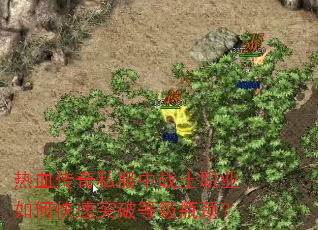 Ѫ˽սʿְҵοͻƵȼƿ