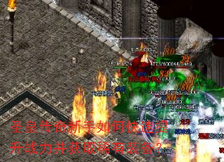 ʥ�ʴ���������ο�������ս������ȡϡ��װ����