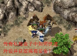 ����˽����������ο�����������ȡϡ��װ����