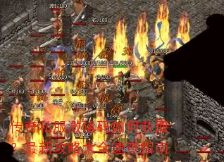 传奇私服激活码如何获取?最新攻略大全速查指南 传奇私服激活码如何获取?最新攻略大全速查指南