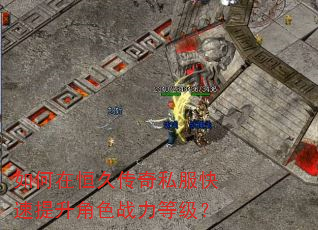 如何在恒久传奇私服快速提升角色战力等级? 如何在恒久传奇私服快速提升角色战力等级?