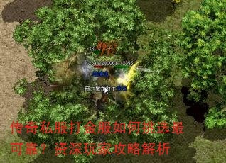 传奇私服打金服如何挑选最可靠?资深玩家攻略解析 传奇私服打金服如何挑选最可靠?资深玩家攻略解析
