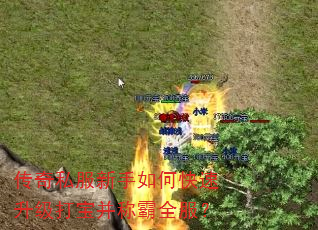 ����˽��������ο��������򱦲��ư�ȫ����