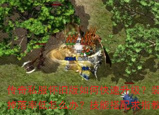 传奇私服怀旧版如何快速升级?装备掉落率低怎么办?技能搭配求指教 传奇私服怀旧版如何快速升级?装备掉落率低怎么办?技能搭配求指教