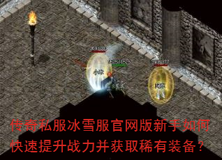 ����˽����ѩ��������������ο�������ս������ȡϡ��װ����