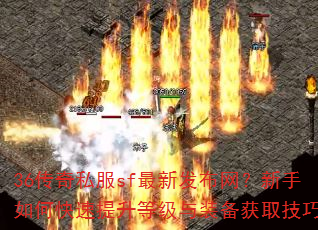 36传奇私服sf最新发布网?新手如何快速提升等级与装备获取技巧? 36传奇私服sf最新发布网?新手如何快速提升等级与装备获取技巧?