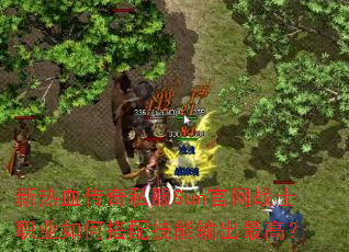 新热血传奇私服Sun官网战士职业如何搭配技能输出最高? 新热血传奇私服Sun官网战士职业如何搭配技能输出最高?