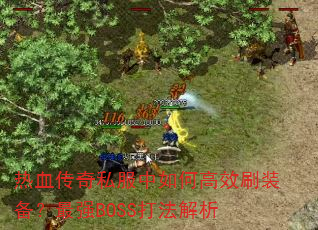 Ѫ˽θЧˢװǿBOSS򷨽