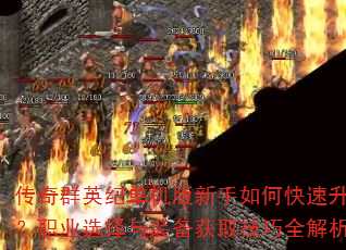 ȺӢ͵οְҵѡװȡȫ