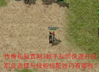 ˽3οְҵѡ뼼ܴ似Щ