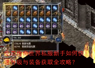 变态传奇世界私服新手如何快速升级与装备获取全攻略? 变态传奇世界私服新手如何快速升级与装备获取全攻略?