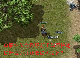 单职业传奇私服新手如何快速提升战力并获取终极装备? 单职业传奇私服新手如何快速提升战力并获取终极装备?