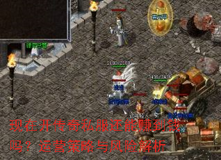 现在开传奇私服还能赚到钱吗?运营策略与风险解析 现在开传奇私服还能赚到钱吗?运营策略与风险解析