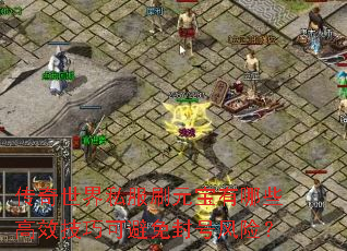 传奇世界私服刷元宝有哪些高效技巧可避免封号风险? 传奇世界私服刷元宝有哪些高效技巧可避免封号风险?